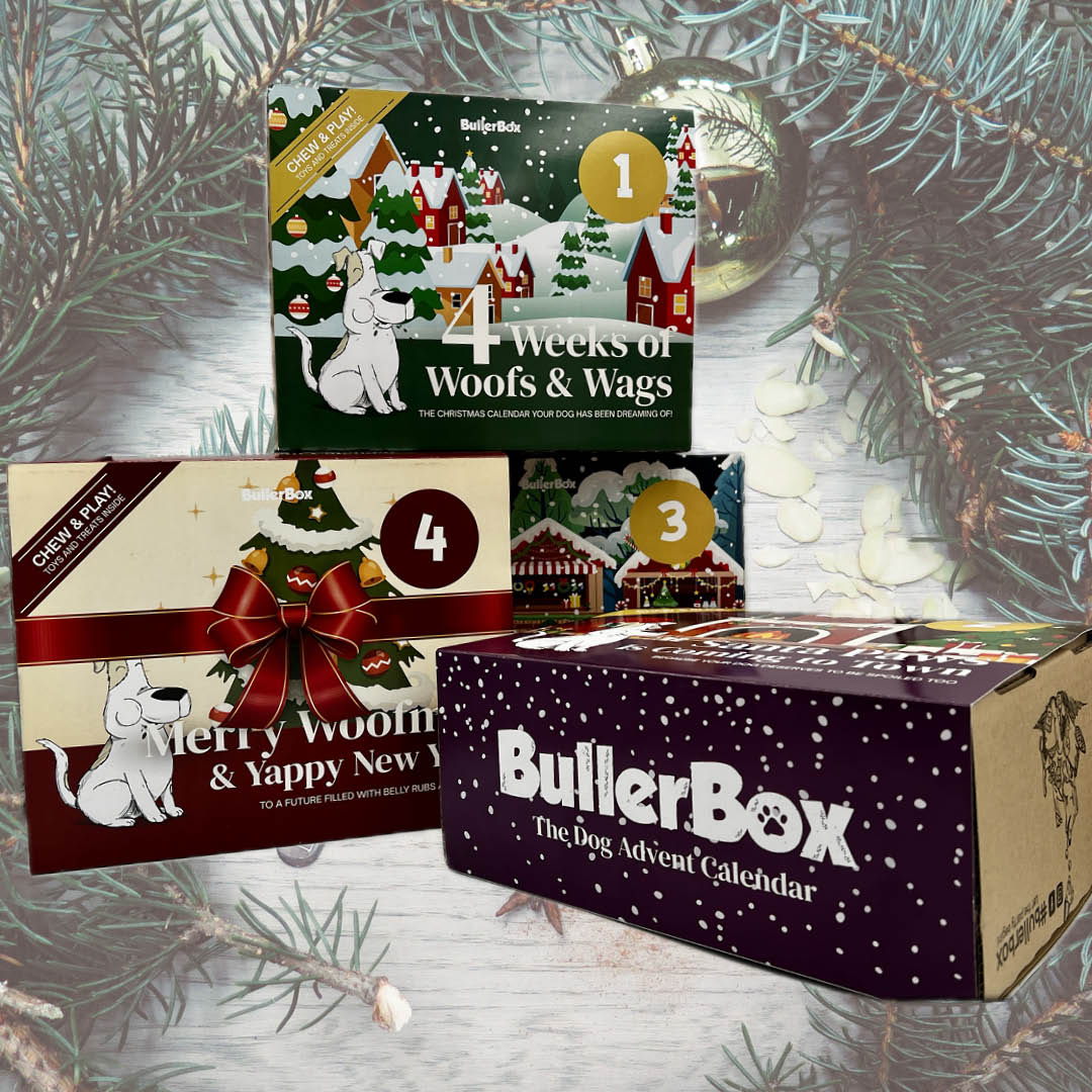 BullerBoxe uden abonnement